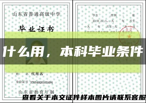 什么用，本科畢業條件縮略圖