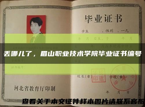 丟哪兒了，眉山職業技術學院畢業證書編號縮略圖