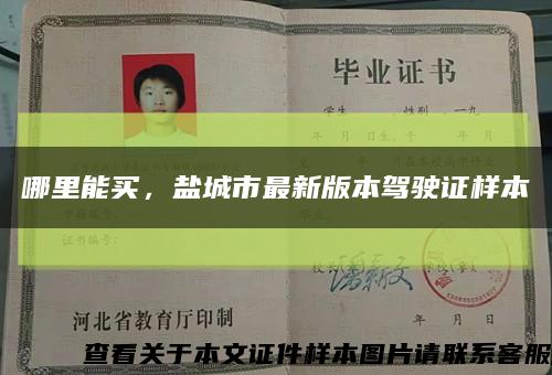 哪里能買，鹽城市最新版本駕駛證樣本縮略圖