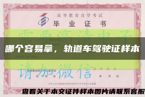 哪個容易拿，軌道車駕駛證樣本縮略圖