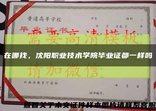 在哪找，沈陽職業技術學院畢業證都一樣嗎縮略圖