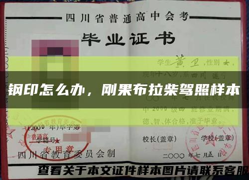 鋼印怎么辦，剛果布拉柴駕照樣本縮略圖