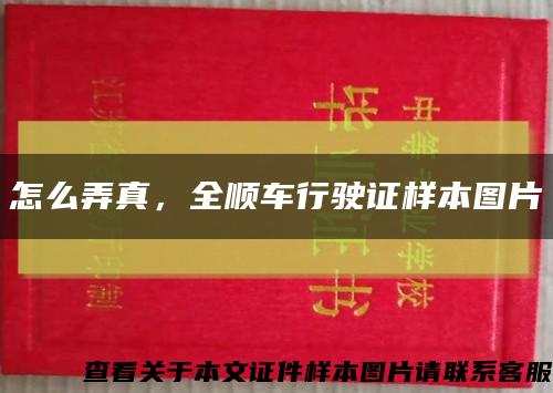 怎么弄真，全順車行駛證樣本圖片縮略圖