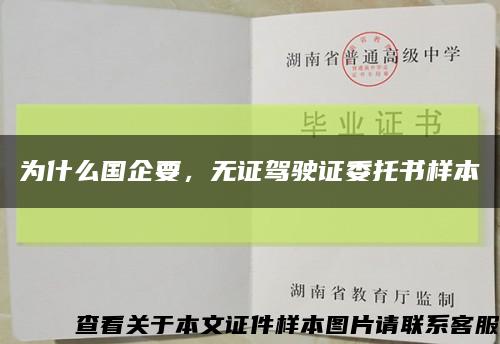 為什么國企要，無證駕駛證委托書樣本縮略圖