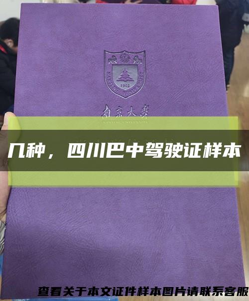 幾種，四川巴中駕駛證樣本縮略圖