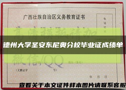 德州大學圣安東尼奧分校畢業證成績單縮略圖