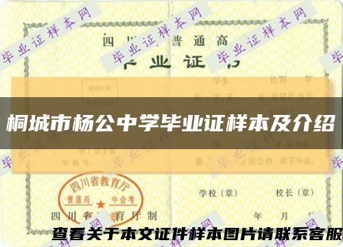桐城市楊公中學畢業證樣本及介紹縮略圖