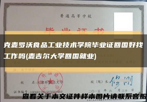 克麥羅沃食品工業技術學院畢業證回國好找工作嗎(麥吉爾大學回國就業)縮略圖