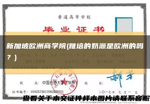 新加坡歐洲商學院(雅培的奶源是歐洲的嗎？)縮略圖
