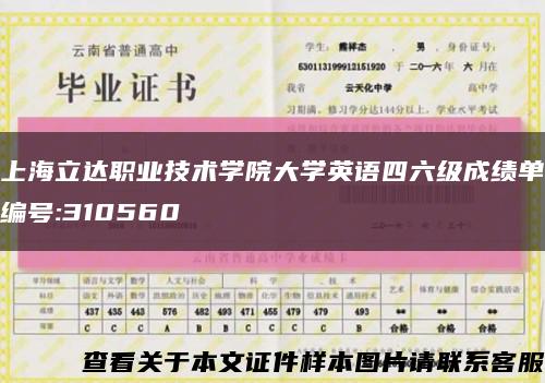 上海立達職業技術學院大學英語四六級成績單編號:310560縮略圖