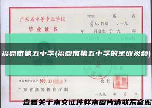 福鼎市第五中學(福鼎市第五中學的軍訓視頻)縮略圖