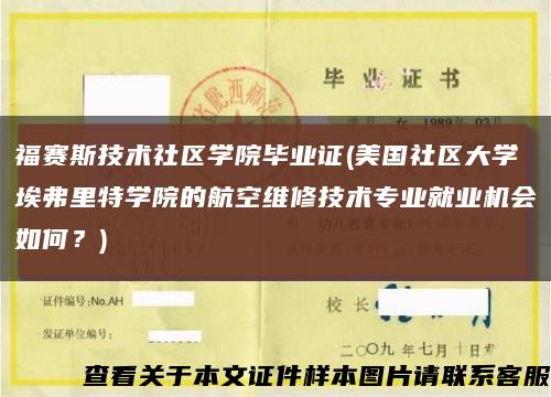 福賽斯技術社區學院畢業證(美國社區大學埃弗里特學院的航空維修技術專業就業機會如何？)縮略圖