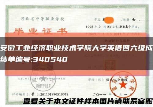 安徽工業經濟職業技術學院大學英語四六級成績單編號:340540縮略圖