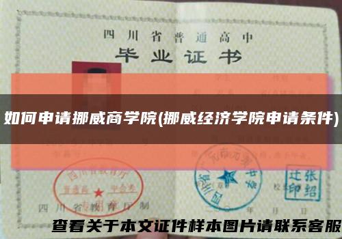 如何申請挪威商學院(挪威經濟學院申請條件)縮略圖