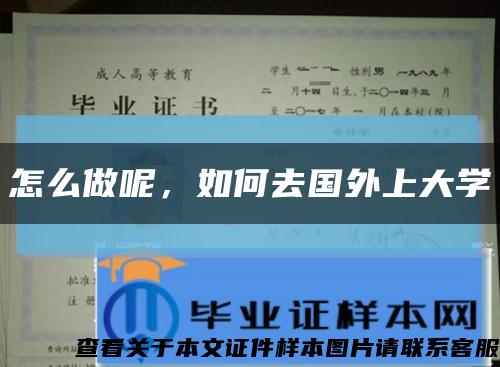 怎么做呢，如何去國外上大學縮略圖