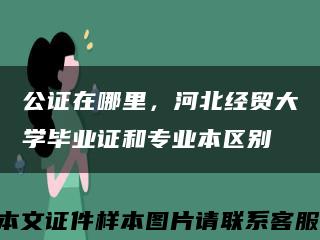 公證在哪里，河北經貿大學畢業證和專業本區別縮略圖