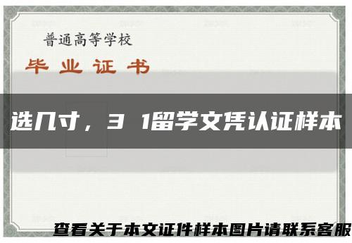 選幾寸，3 1留學文憑認證樣本縮略圖