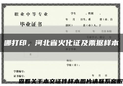 哪打印，河北省火化證及票據樣本縮略圖