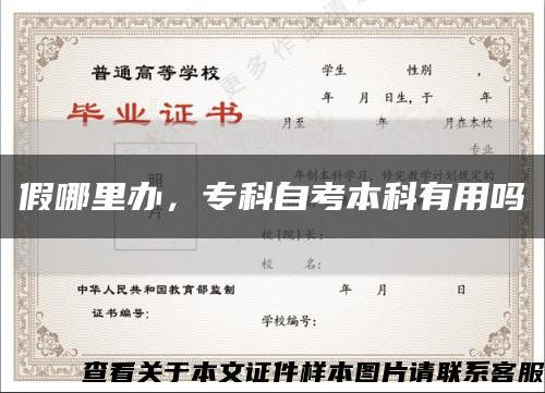 假哪里辦，?？谱钥急究朴杏脝峥s略圖