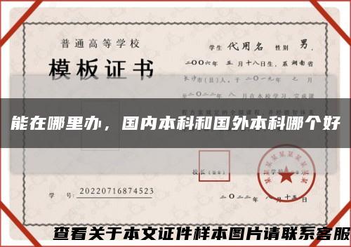 能在哪里辦，國內本科和國外本科哪個好縮略圖