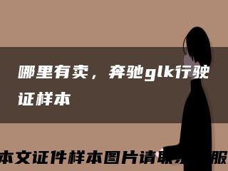 哪里有賣，奔馳glk行駛證樣本縮略圖