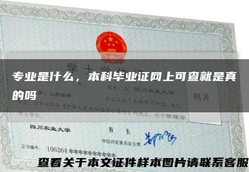 專業是什么，本科畢業證網上可查就是真的嗎縮略圖