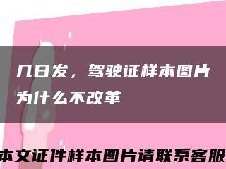 幾日發，駕駛證樣本圖片為什么不改革縮略圖