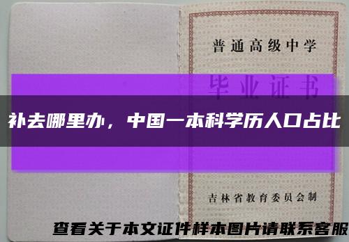 補去哪里辦，中國一本科學歷人口占比縮略圖