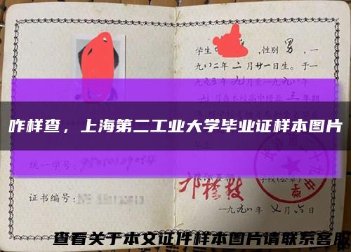 咋樣查，上海第二工業大學畢業證樣本圖片縮略圖