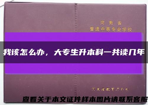我該怎么辦，大專生升本科一共讀幾年縮略圖