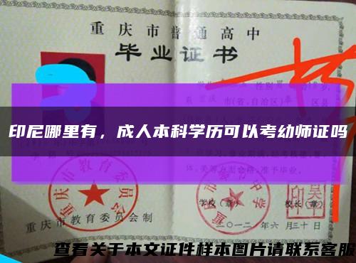 印尼哪里有，成人本科學歷可以考幼師證嗎縮略圖