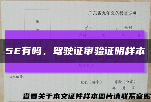 5E有嗎，駕駛證審驗證明樣本縮略圖