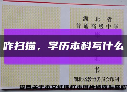 咋掃描，學歷本科寫什么縮略圖