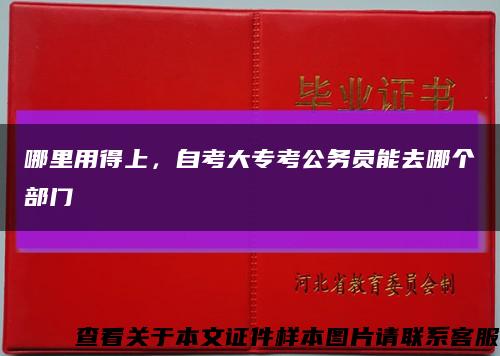 哪里用得上，自考大?？脊珓諉T能去哪個部門縮略圖