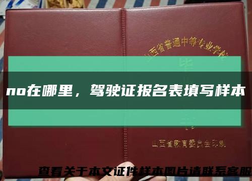 no在哪里，駕駛證報名表填寫樣本縮略圖