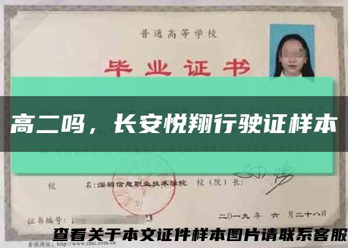 高二嗎，長安悅翔行駛證樣本縮略圖