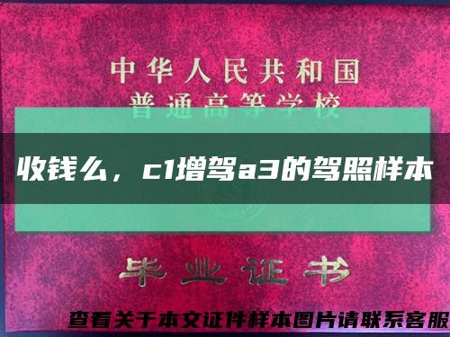 收錢么，c1增駕a3的駕照樣本縮略圖