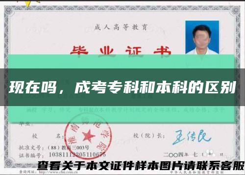 現在嗎，成考?？坪捅究频膮^別縮略圖