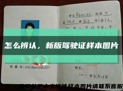 怎么辨認，新版駕駛證樣本圖片縮略圖