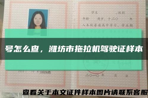 號怎么查，濰坊市拖拉機駕駛證樣本縮略圖