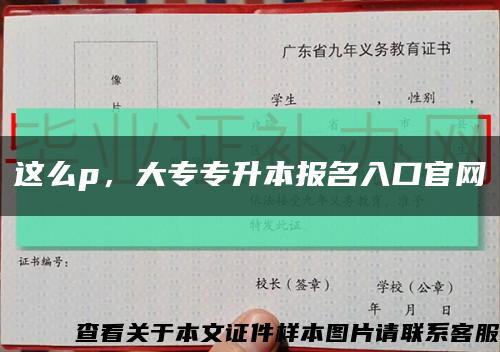 這么p，大專專升本報名入口官網縮略圖