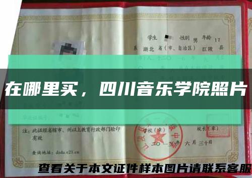 在哪里買，四川音樂學院照片縮略圖
