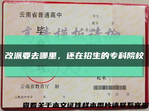改派要去哪里，還在招生的?？圃盒？s略圖