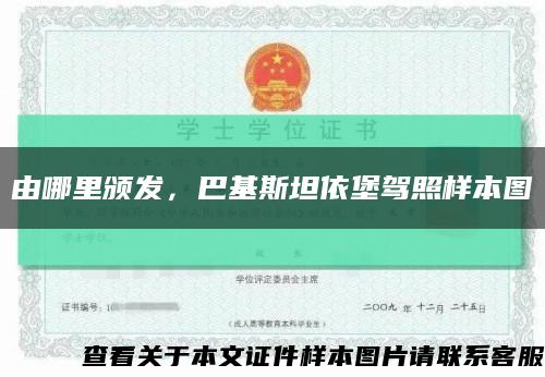 由哪里頒發，巴基斯坦依堡駕照樣本圖縮略圖