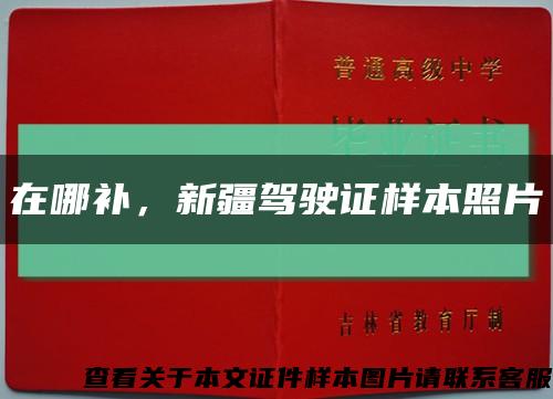 在哪補，新疆駕駛證樣本照片縮略圖