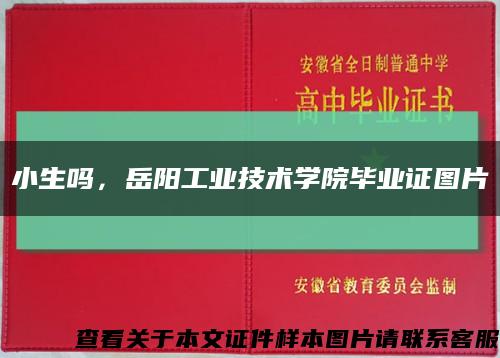 小生嗎，岳陽工業技術學院畢業證圖片縮略圖