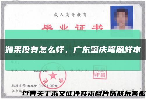 如果沒有怎么樣，廣東肇慶駕照樣本縮略圖
