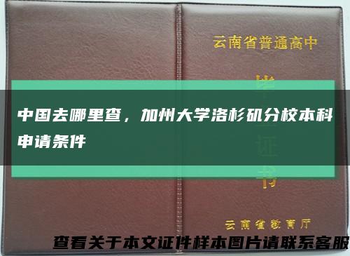 中國去哪里查，加州大學洛杉磯分校本科申請條件縮略圖
