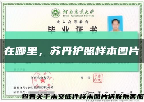 在哪里，蘇丹護照樣本圖片縮略圖