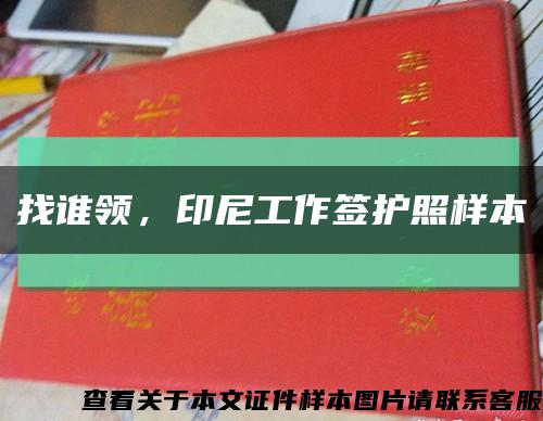 找誰領，印尼工作簽護照樣本縮略圖